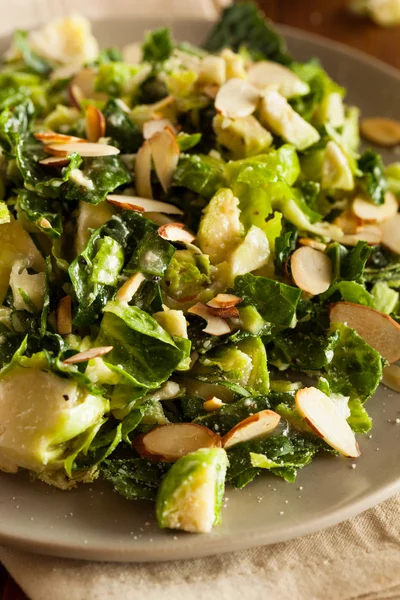 Kale and Brussel Sprout Salad — Stock Photo, Image