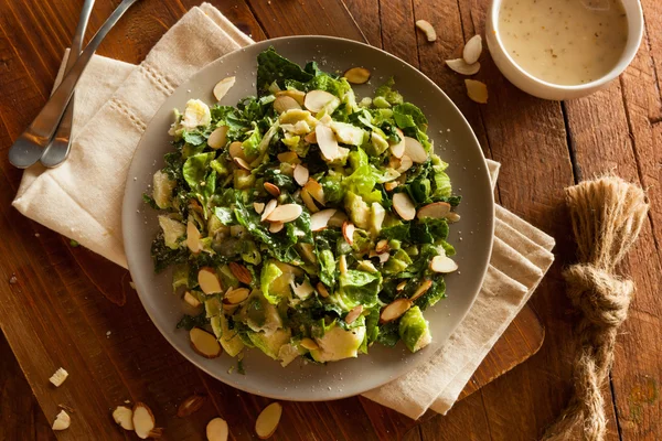 Boerenkool en Brussel spruit salade — Stockfoto