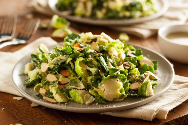 Kale and Brussel Sprout Salad — Stock Image Kale and Brussel Sprout Salad Royalty Free Stock Photos