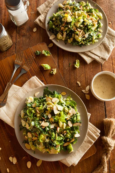 Kale and Brussel Sprout Salad — Stock Image Kale and Brussel Sprout Salad Royalty Free Stock Images
