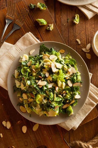 Kale and Brussel Sprout Salad — Stock Image Kale and Brussel Sprout Salad Royalty Free Stock Photos