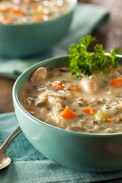 Домашний дикий рис и куриный суп — стоковое фото