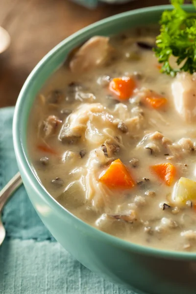 Homemade Wild Rice and Chicken Soup — Stock Photo, Image