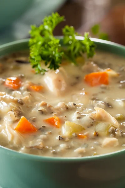 Sopa casera de arroz y pollo silvestres —  Fotos de Stock