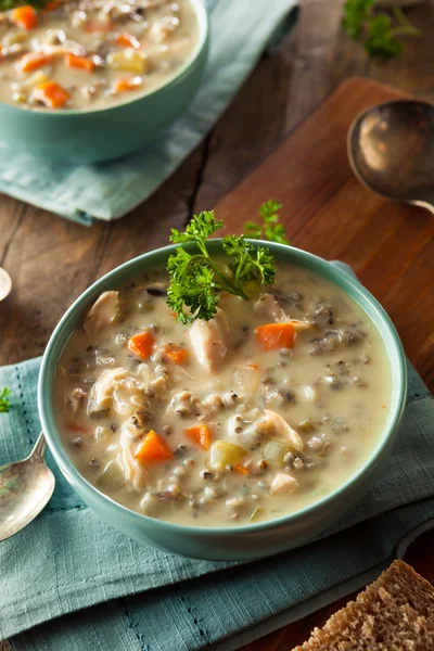 Sopa casera de arroz y pollo silvestres —  Fotos de Stock