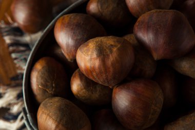 Ham kahverengi organik İtalyan kestane