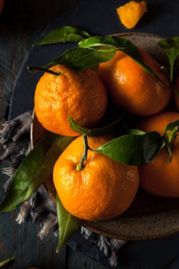 Ham organik Satsuma portakal