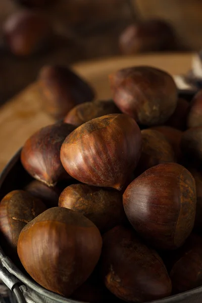 Raw Brown Organic Italian Chestnuts — Stock Photo, Image