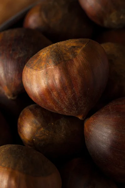 Ruwe bruin organische Italiaanse kastanjes — Stockfoto