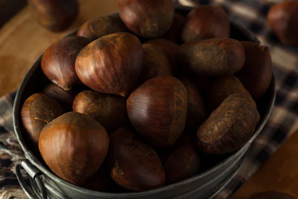 Castagne italiane biologiche marroni crudi — Foto Stock