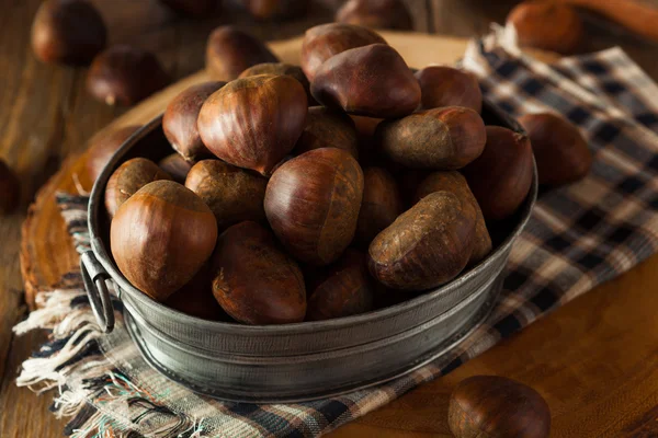 Castagne italiane biologiche marroni crudi — Foto Stock