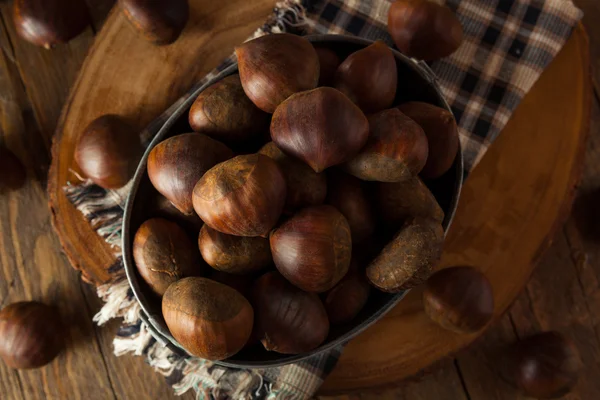 Raw Brown Organic Italian Chestnuts — Stock Photo, Image