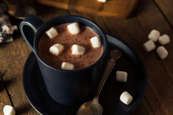 Zelfgemaakte warme chocolademelk — Stockfoto