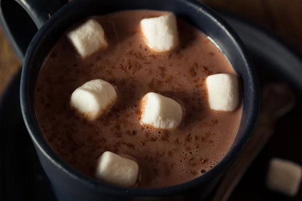 Buatan rumah Cokelat panas hangat — Stok Foto