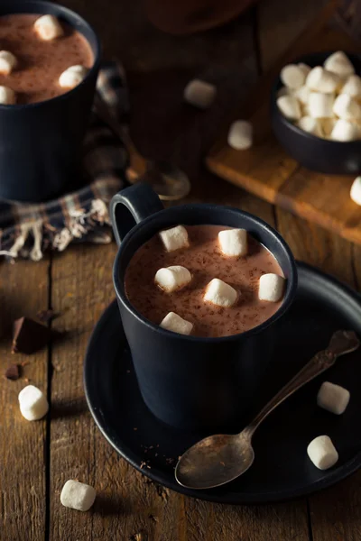 Chocolate caliente casero caliente —  Fotos de Stock