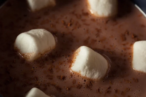 Homemade Warm Hot Chocolate — Stock Photo, Image