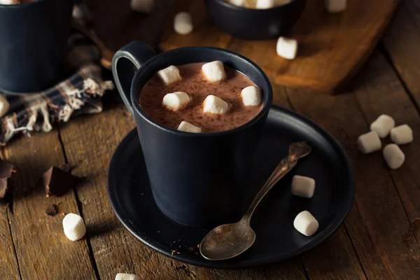 自家製の暖かいホット チョコレート — ストック写真