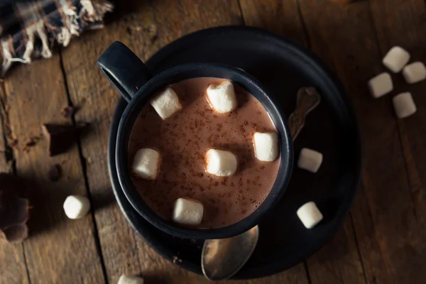 Zelfgemaakte warme chocolademelk — Stockfoto