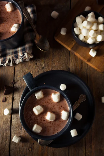 Homemade Warm Hot Chocolate — Stock Photo, Image