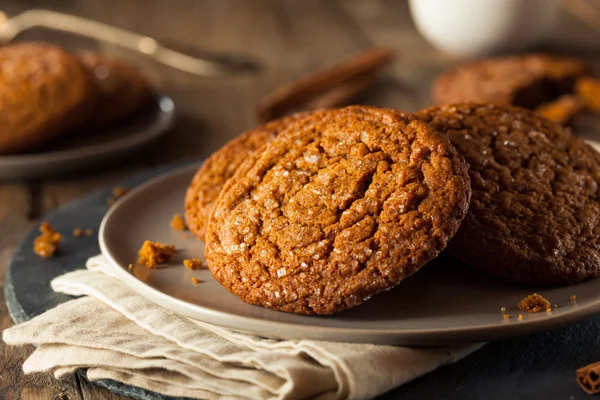 Teplý domácí Gingersnap soubory cookie — Stock fotografie