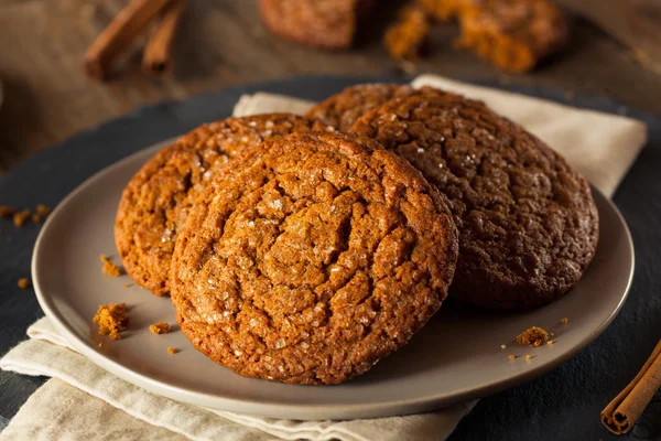 Ciepły Gingersnap domowe ciasteczka — Zdjęcie stockowe