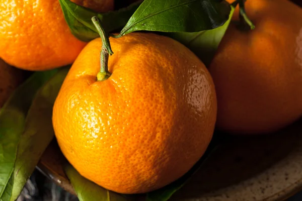 Raw Organic Satsuma Oranges — Stock Photo, Image