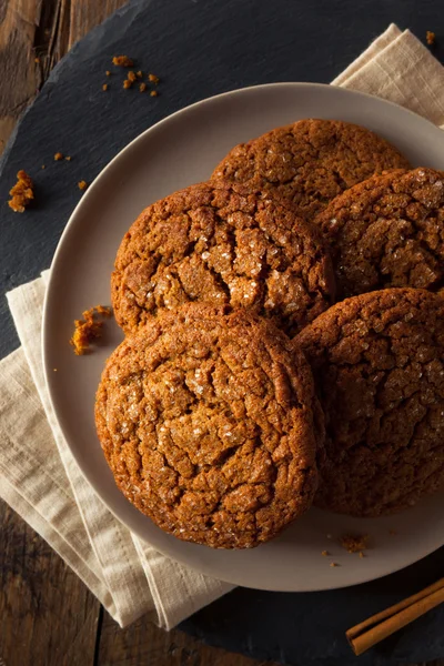 Biscotti caldi fatti in casa Gingersnap — Foto Stock