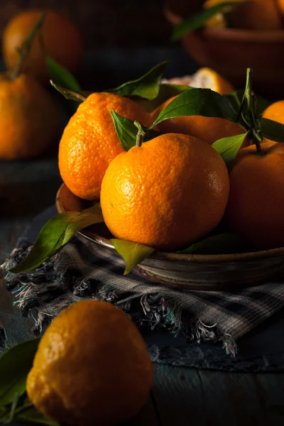 原料有机温州蜜柑橘子 — 图库照片