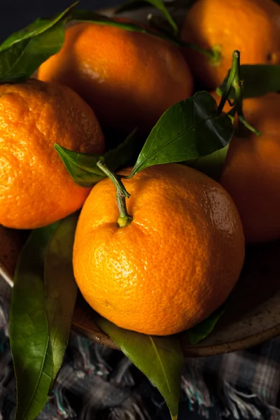 Ακατέργαστη βιολογική Satsuma πορτοκάλια — Φωτογραφία Αρχείου