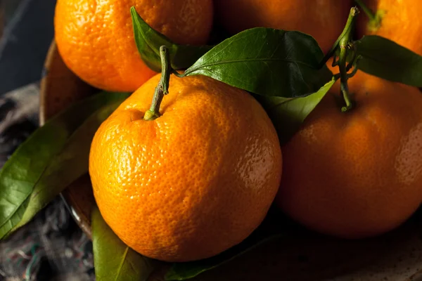 Råa ekologiska Satsuma apelsiner — Stockfoto