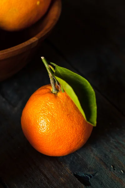 Raw Organic Satsuma Oranges — Stock Photo, Image