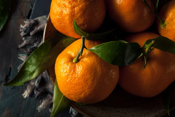 Ruwe organische Satsuma sinaasappelen — Stockfoto