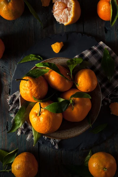 Råa ekologiska Satsuma apelsiner — Stockfoto