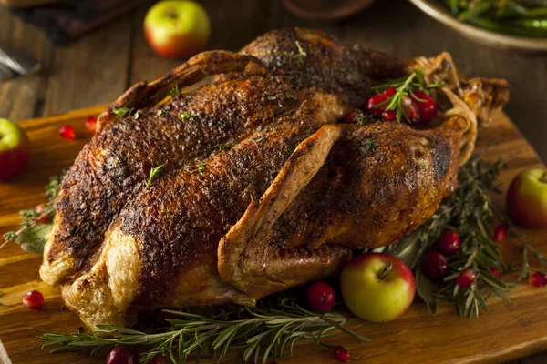 Pato asado casero con hierbas — Foto de Stock