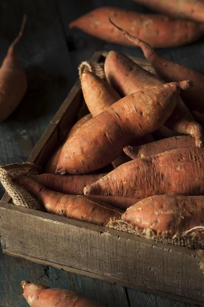 Rohe Bio-Süßkartoffeln — Stockfoto