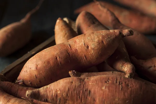 Ruwe organische zoete aardappelen — Stockfoto