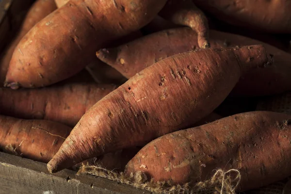 Raw Organic Sweet Potatoes — Stock Photo, Image