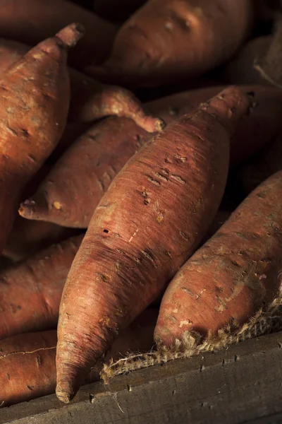 Raw Organic Sweet Potatoes — Stock Photo, Image