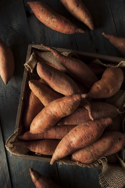 Rohe Bio-Süßkartoffeln — Stockfoto