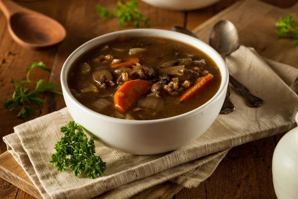 Sopa de cevada de cogumelos caseira — Fotografia de Stock