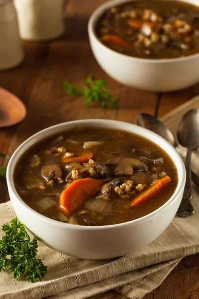 Zelfgemaakte paddestoel gerst soep — Stockfoto