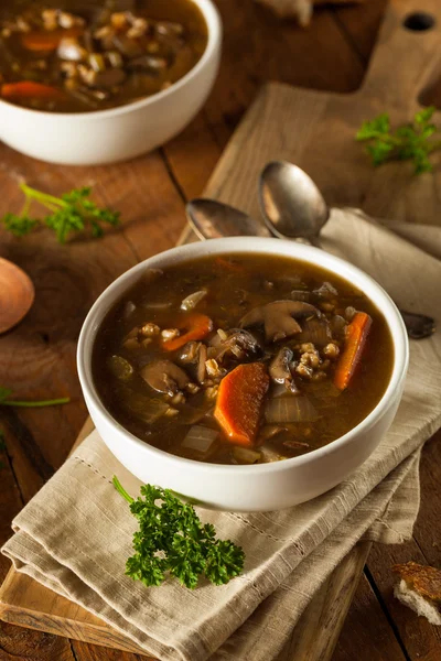 Sopa de cevada de cogumelos caseira — Fotografia de Stock