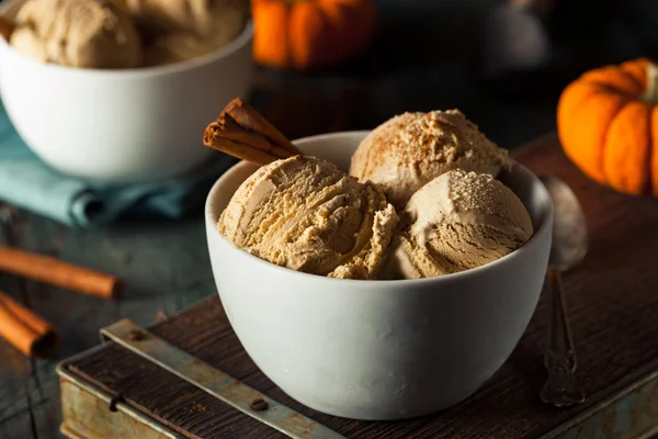 Homemade Pumpkin Pie Ice Cream — Stock Photo, Image