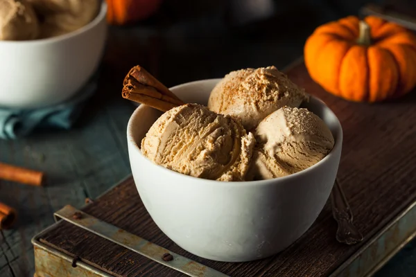 Zelfgemaakte pompoenpastei Ice Cream — Stockfoto