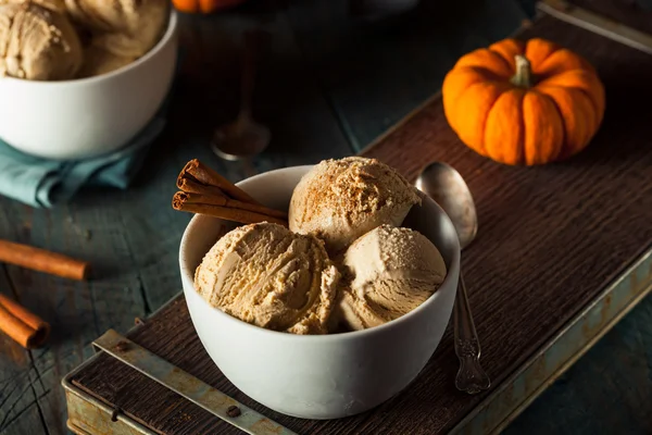 Crème glacée à la citrouille maison — Photo