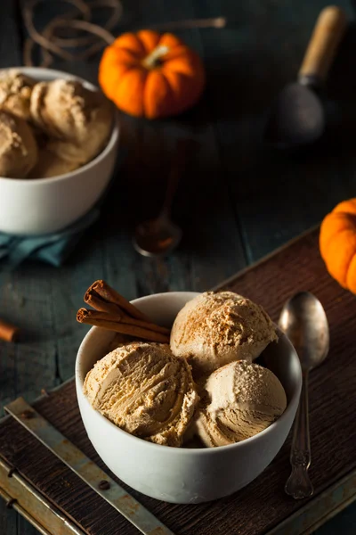 Crème glacée à la citrouille maison — Photo