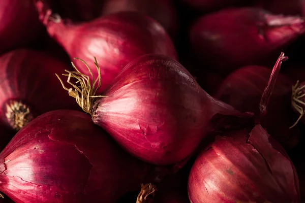 Organic Red Pearl Onions — Stock Photo, Image