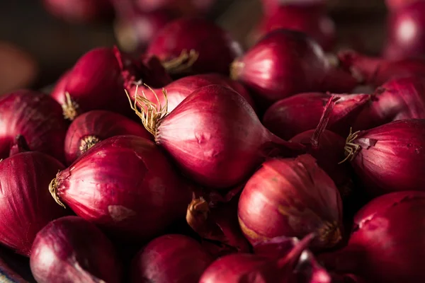Organic Red Pearl Onions — Stock Photo, Image