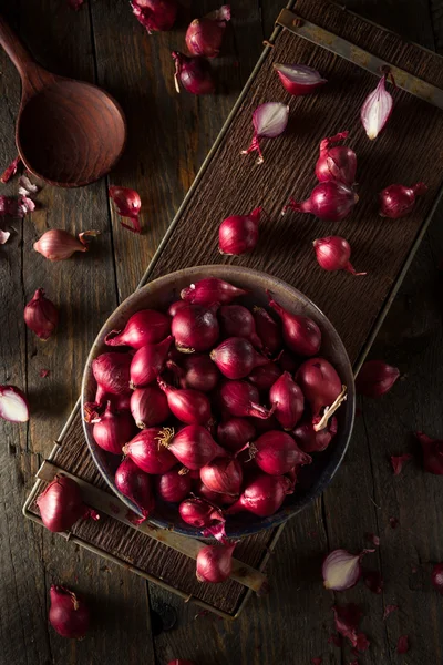 Cipolle rosse biologiche della perla — Foto Stock