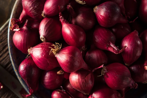 Cipolle rosse biologiche della perla — Foto Stock